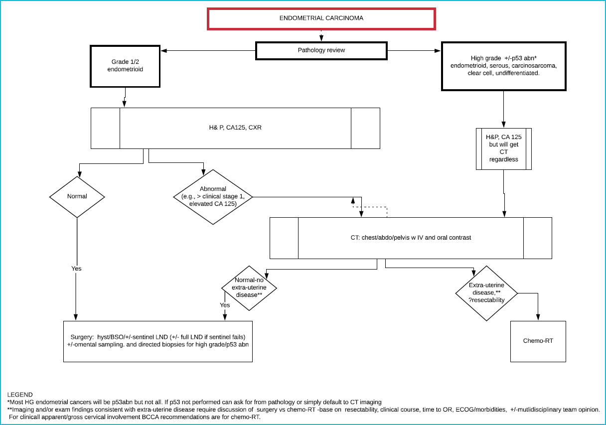 Flow chart of Endometrium pre-operative work-up/investigations - click link for PDF
